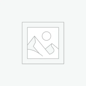 Sleek Wireless Earbuds